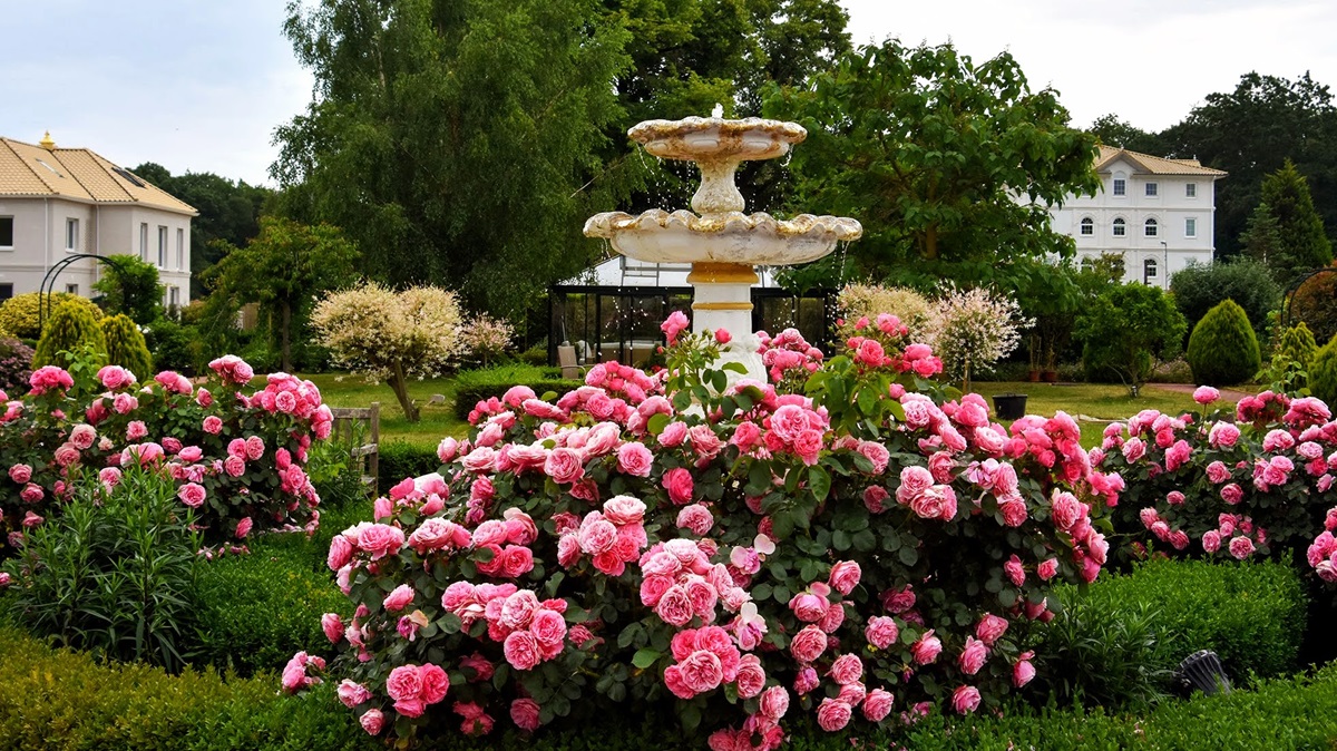 MERU Vedic Garden